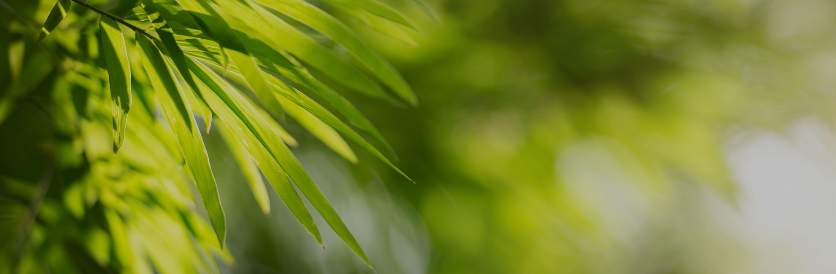 墓石貴栄の事業案内