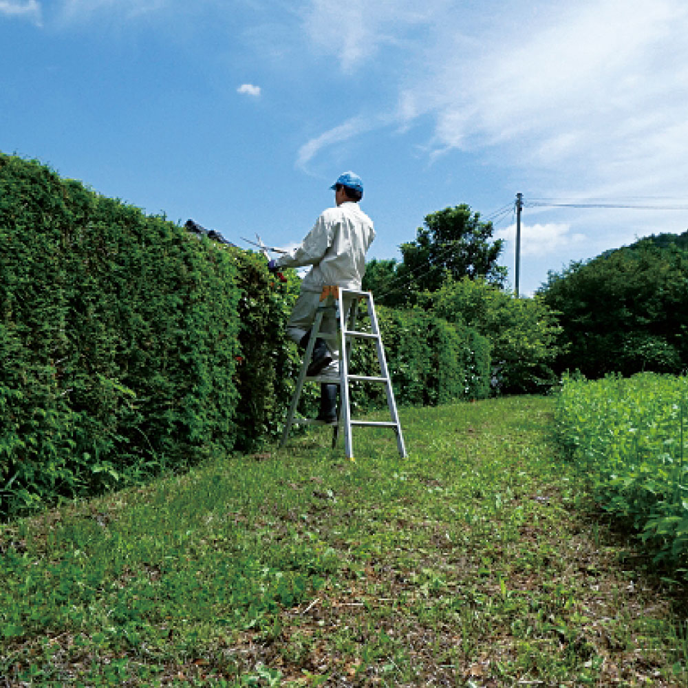 庭の剪定・造園