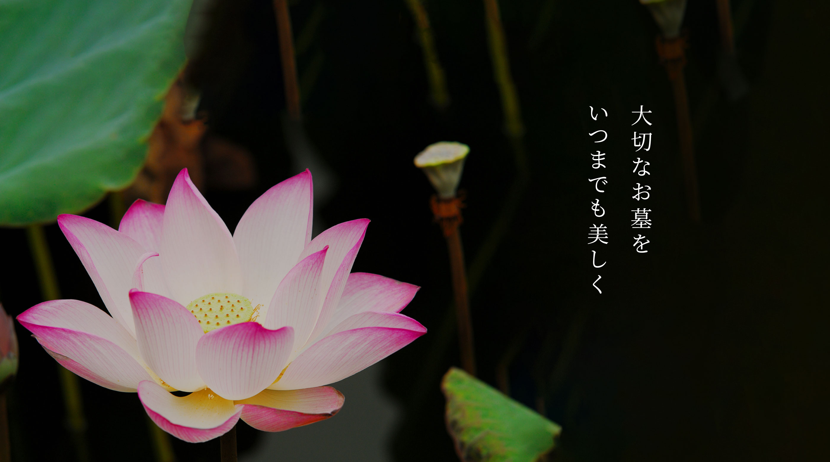 大切なお墓をいつまでも美しく株式会社貴栄